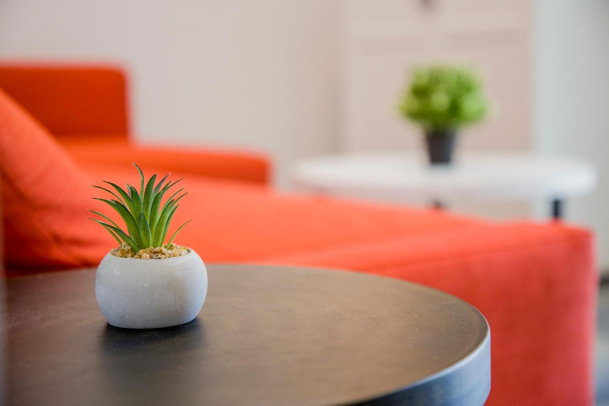 Apartment Sophie - New Cozy Place With A Garden Ofrinion